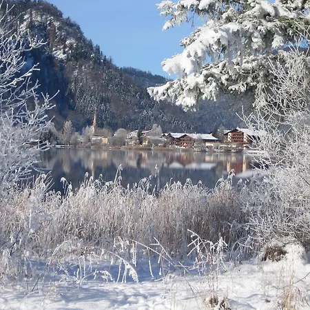 Gastehaus Fahringer Walchsee