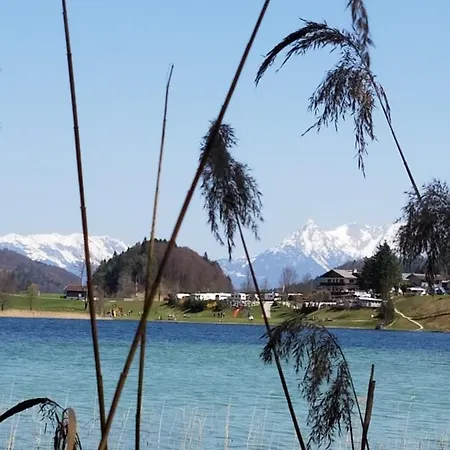 招待所 噶斯特豪斯发格酒店